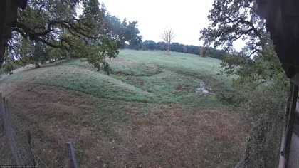 2026-10-03