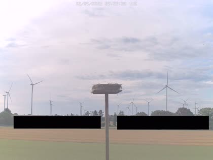 2025-09-03