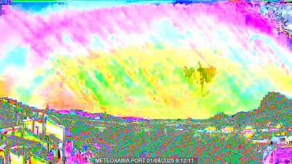 2025-08-01