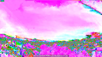 2025-08-20