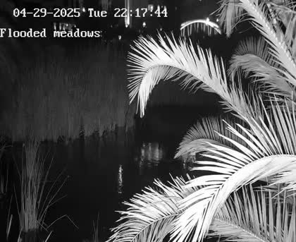 2025-04-30