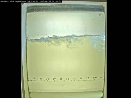 2025-06-27