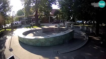 2025-07-19