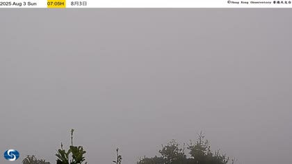 2025-08-03