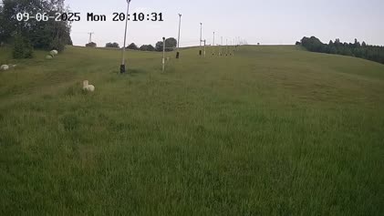 2025-06-09