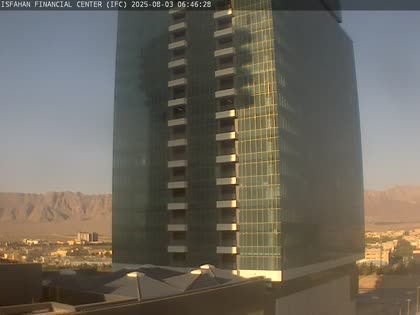 2025-08-03