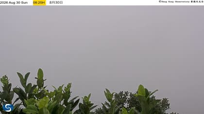 2026-08-30