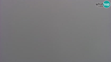 2026-06-03