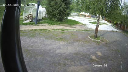 2025-06-10