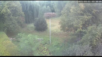 2025-09-01