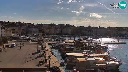2026-09-06