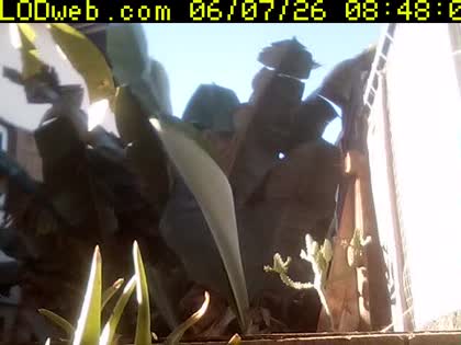 2026-06-07
