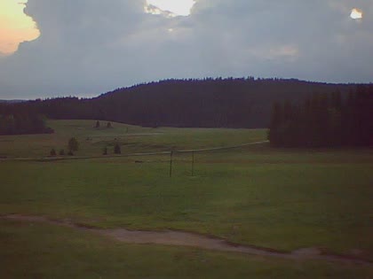 2025-06-04