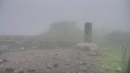 2025-07-06