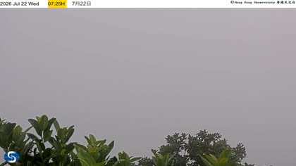 2026-07-22