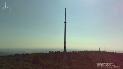 2025-06-12