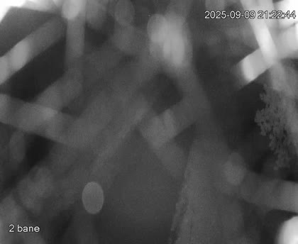 2025-09-10