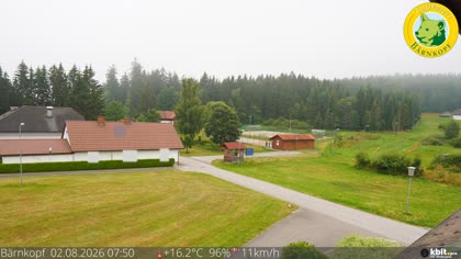 2026-08-02