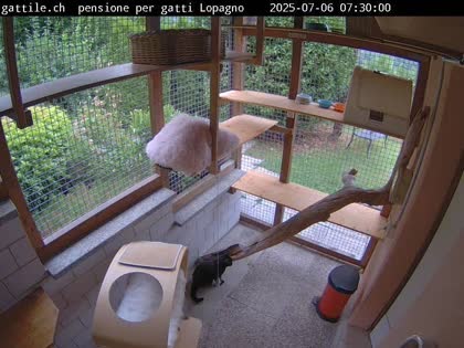 2025-07-06