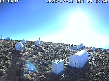 2025-07-21