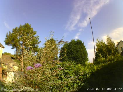 2026-07-16