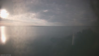 2025-08-12