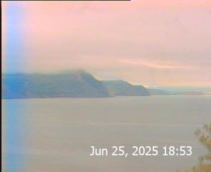 2025-06-26