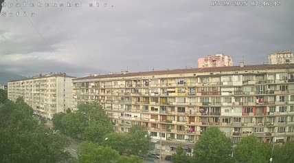 2025-05-29