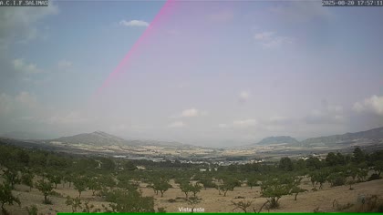 2025-08-21