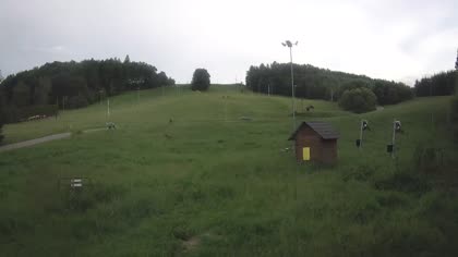 2026-06-11