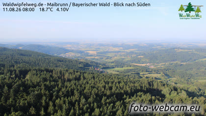 2026-08-11