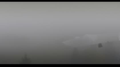 2025-10-08