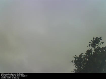 2026-10-18