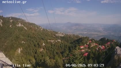 2026-08-04
