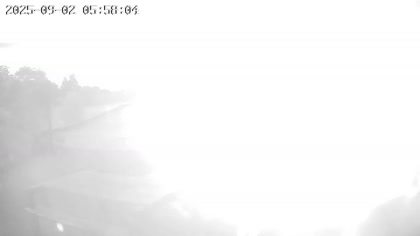 2025-09-02