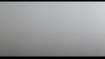 2025-08-01