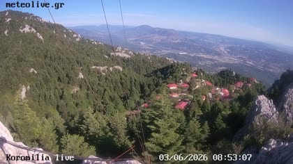 2026-06-03