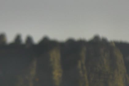 2025-10-12