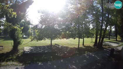 2026-09-15