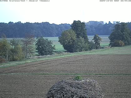 2025-10-03