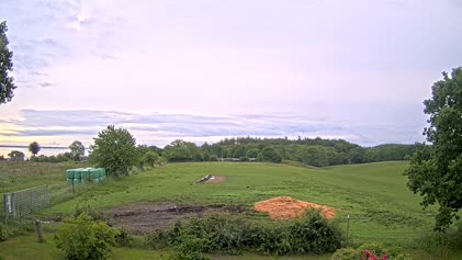 2025-06-08