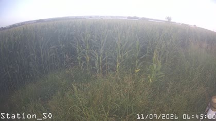 2026-09-11