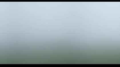 2025-07-29