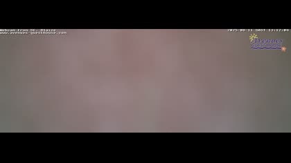 2025-08-12