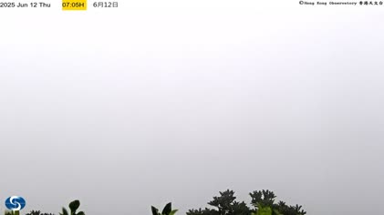 2025-06-12