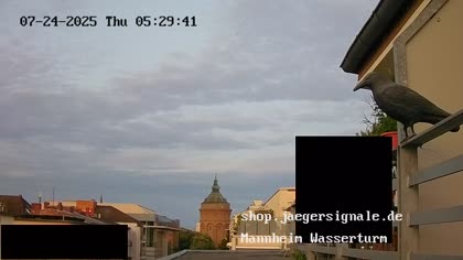 2025-07-24