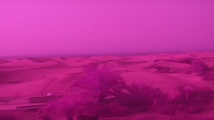 2025-08-11