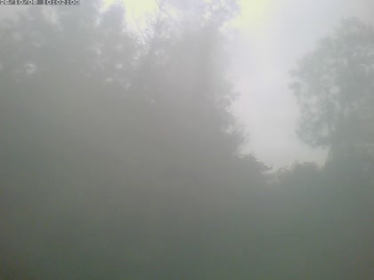 2026-10-08