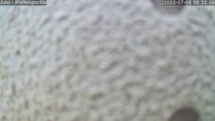 2025-07-08