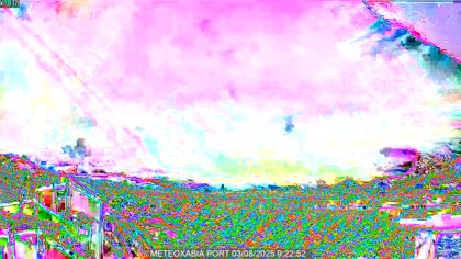 2025-08-03